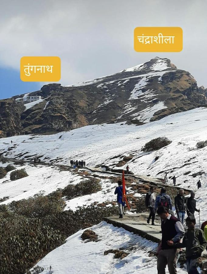 Pandava'S Cafe & Stay Chopta Екстер'єр фото